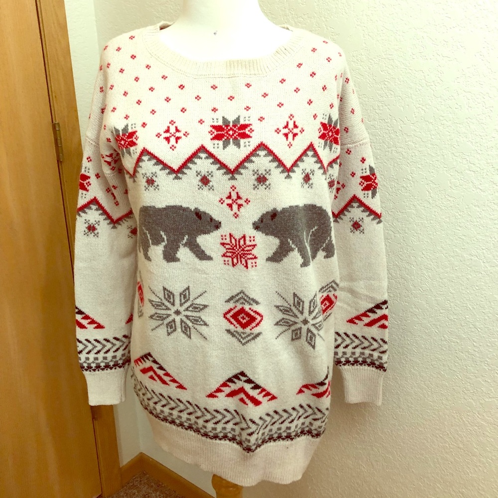 Oversized Winter Sweater from Target (M)